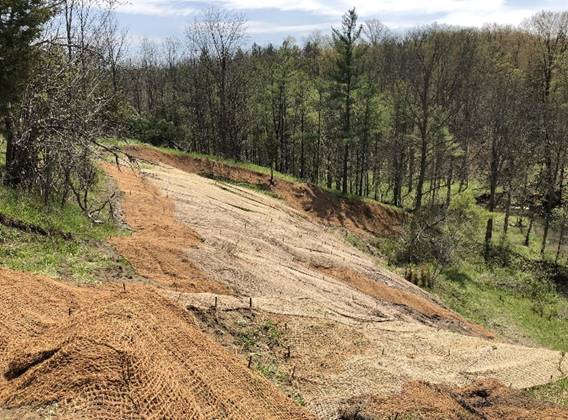 A picture containing outdoor, tree, sky, ground

Description automatically generated